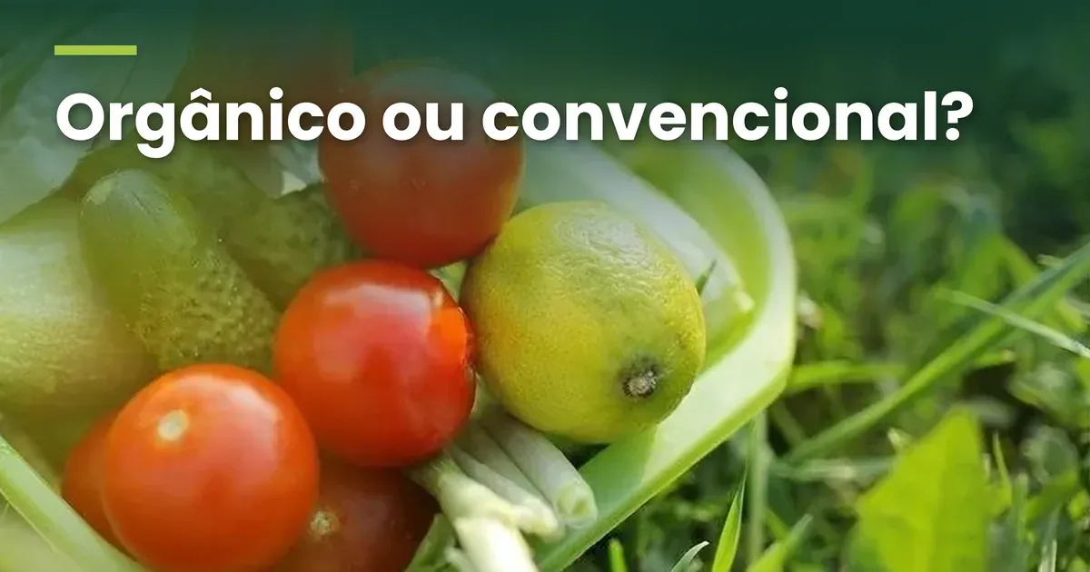 Foto de tomates-cereja, pepinos pequenos, um limão, cebolinha e folhas verdes numa vasilha de plástico verde sobre a grama, com o título Orgânico ou convencional? no alto, em letras brancas sobre um degradê verde