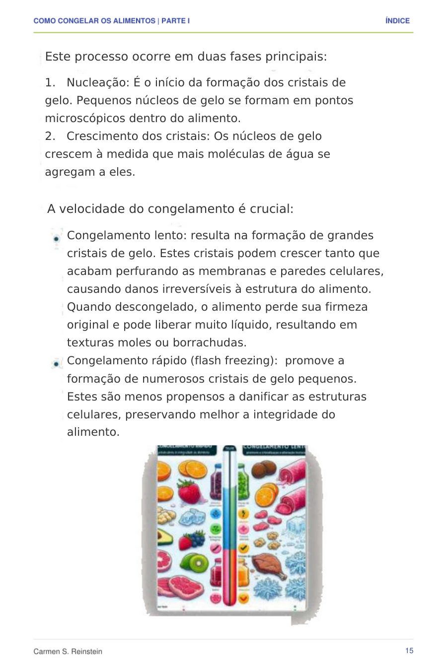 Página 7 de 10 da amostra de Como Congelar os Alimentos — Parte I: Cristais de gelo e velocidade do congelamento